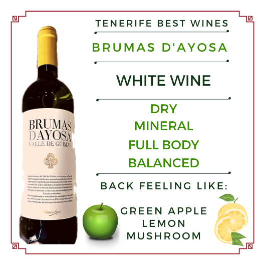 BRUMAS d'AYOSA blanco seco
