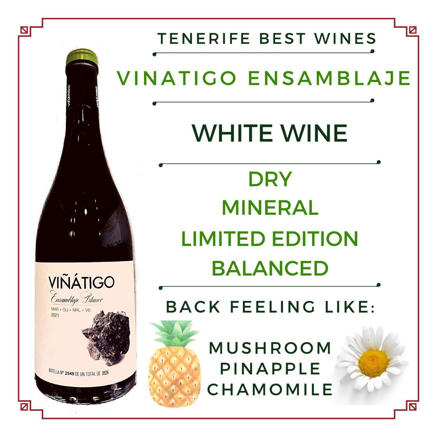 VIÑÁTIGO ENSAMBLAJE blanco