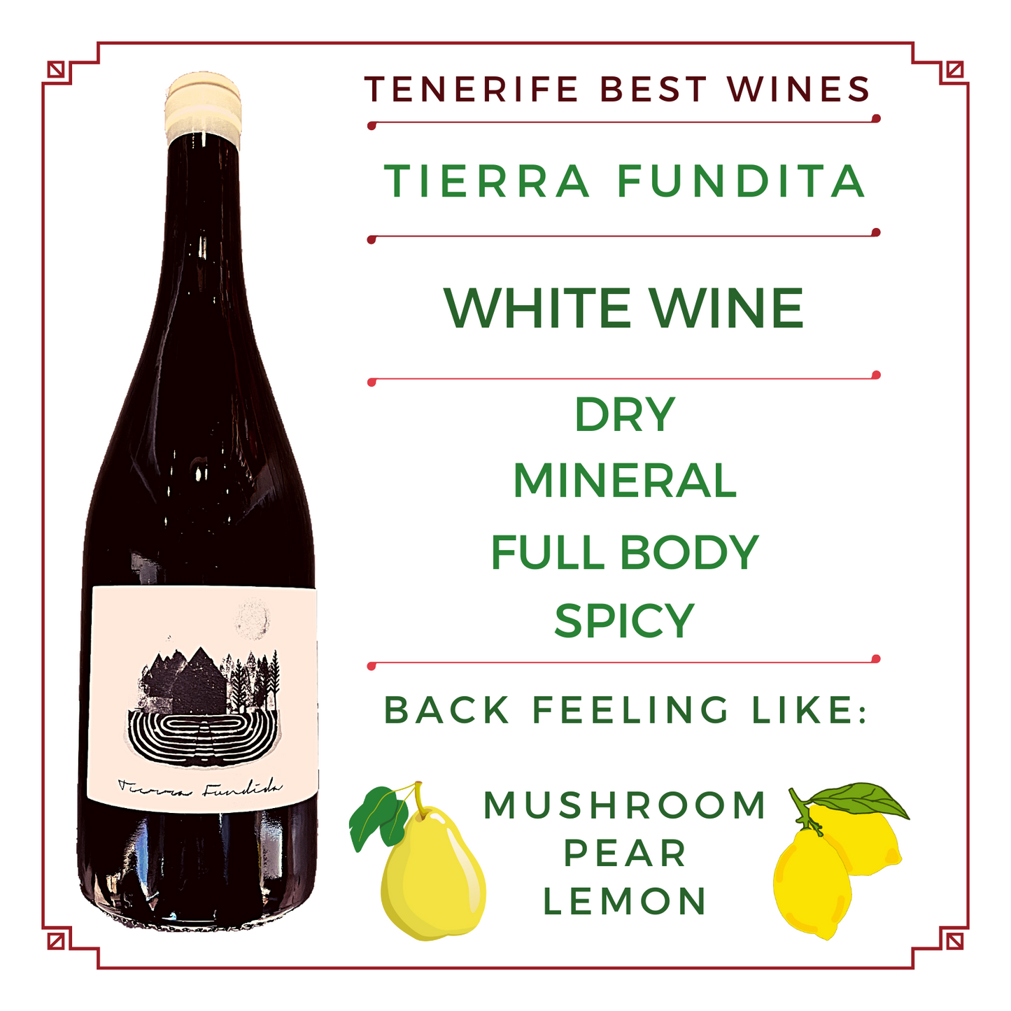 TIERRA FUNDITA blanco
