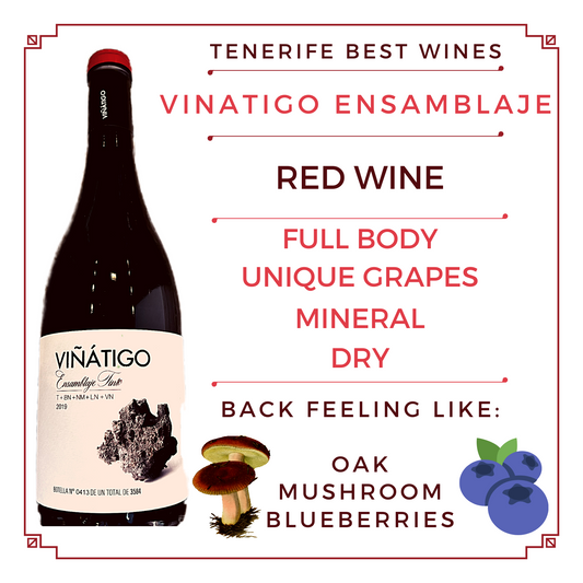 VIÑÁTIGO ENSAMBLAJE tinto