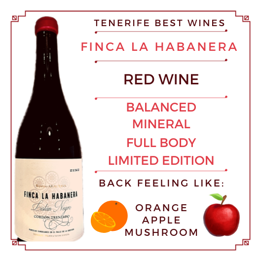 FINCA LA HABANERA tinto