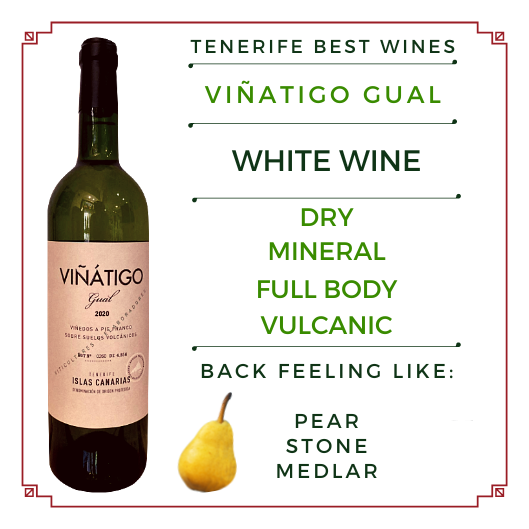 Tenerife wine White Vintage VIÑATIGO